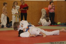 photo1235