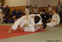 photo1243