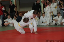photo244