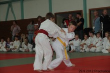 photo246