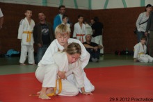 photo252