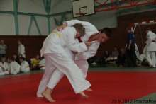 photo253