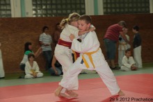 photo259
