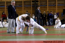 photo446