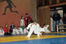photo498
