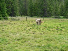 photo729i.jpg